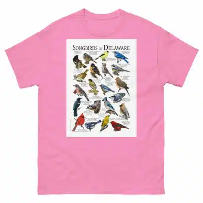 Songbirds of Delaware - Men's classic tee - Image 7