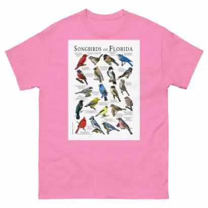 Songbirds of Florida - Men's classic tee - Image 7