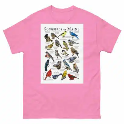 Songbirds of Maine - Men's classic tee - Image 7