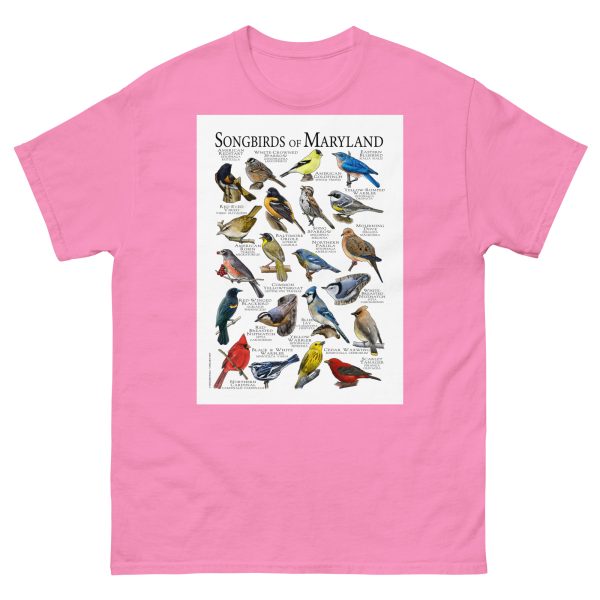 Songbirds of Maryland - Men's classic tee - Image 7