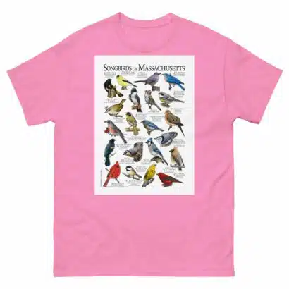 Songbirds of Massachusetts - Men's classic tee - Image 7