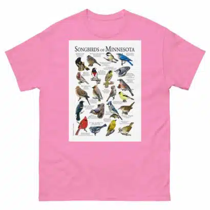 Songbirds of Minnesota - Men's classic tee - Image 7
