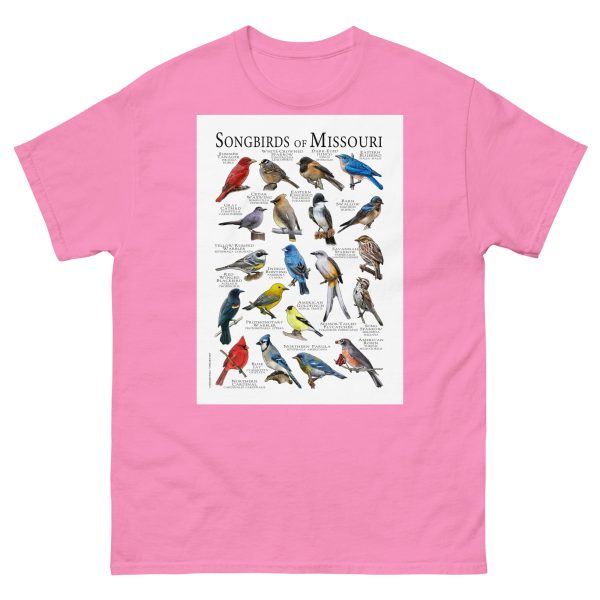 Songbirds of Missouri - Men's classic tee - Image 7