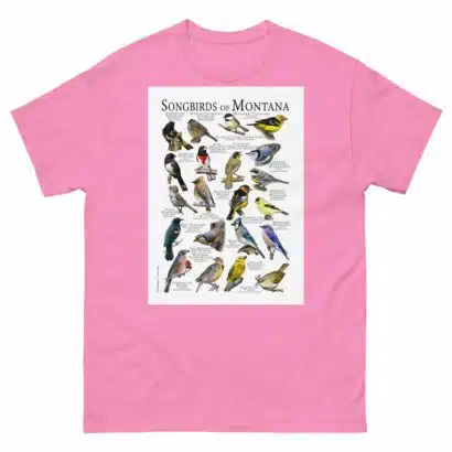 Songbirds of Montana - Men's classic tee - Image 7