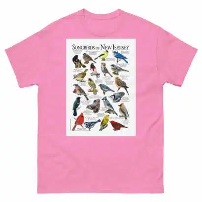 Songbirds of New Jersey - Men's classic tee - Image 7