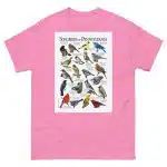 Songbirds of Pennsylvania - Men's classic tee - Image 7