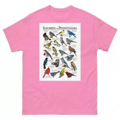 Songbirds of Pennsylvania - Men's classic tee - Image 7