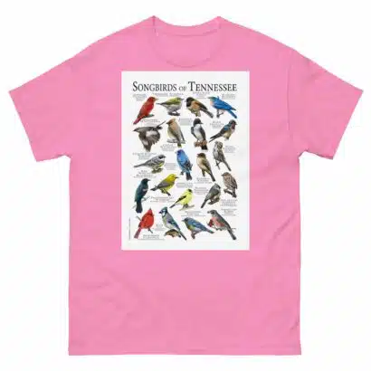 Songbirds of Tennessee - Men's classic tee - Image 7