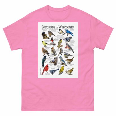 Songbirds of Wisconsin - Men's classic tee - Image 7