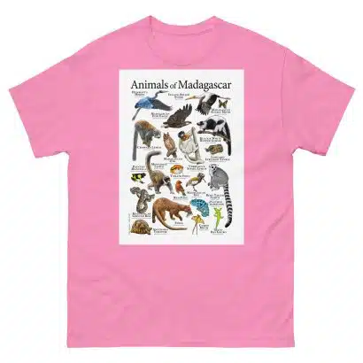 Animals of Madagascar - Men's classic tee - Image 7