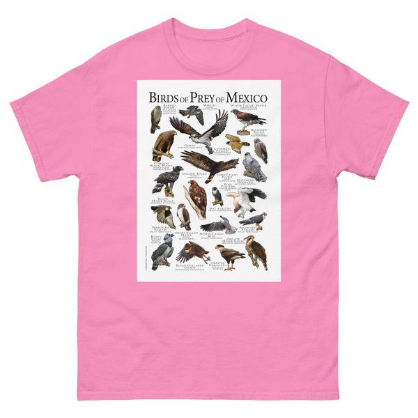 Birds of Prey of Mexico - Men's classic tee - Image 7