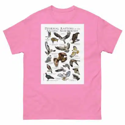 Diurnal Raptors of the Pacific Northwest - Men's classic tee - Image 7