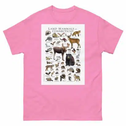 Land Mammals of Connecticut - Men's classic tee - Image 7