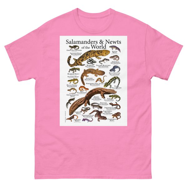 Salamanders & Newts of the World - Men's classic tee - Image 7