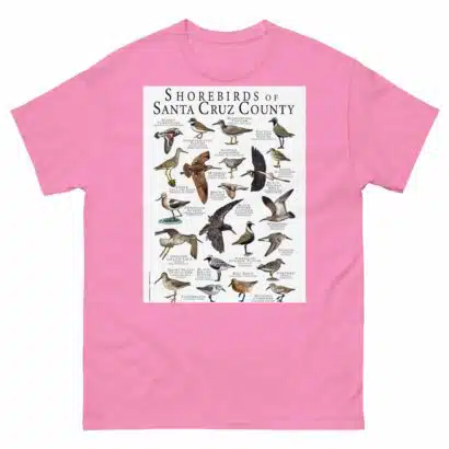 Shorebirds of Santa Cruz County - Men's classic tee - Image 7