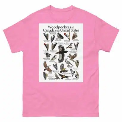 Woodpeckers of the USA & Canada Men's classic tee - Image 7