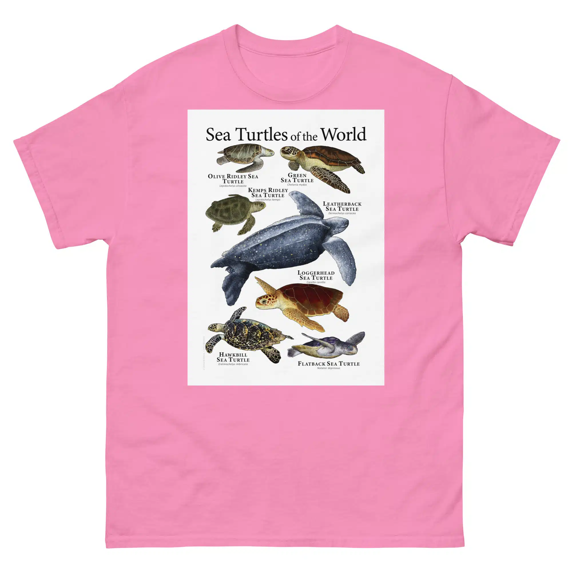 Sea Turtles of the World - Men's classic tee