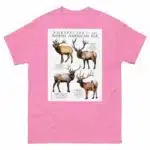 Subspecies of North American Elk - Men's classic tee - Image 7