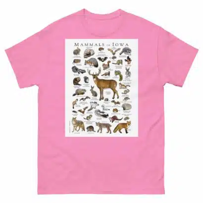 Mammals of Iowa - Men's classic tee - Image 7