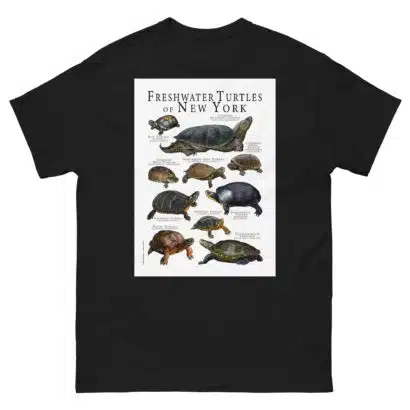 Freshwater Turtles of New York - Men's classic tee - Image 2