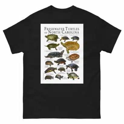 Freshwater Turtles of North Carolina - Men's classic tee - Image 2