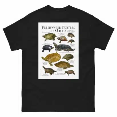 Freshwater Turtles of Ohio - Men's classic tee - Image 2