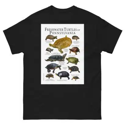 Freshwater Turtles of Pennsylvania - Men's classic tee - Image 2