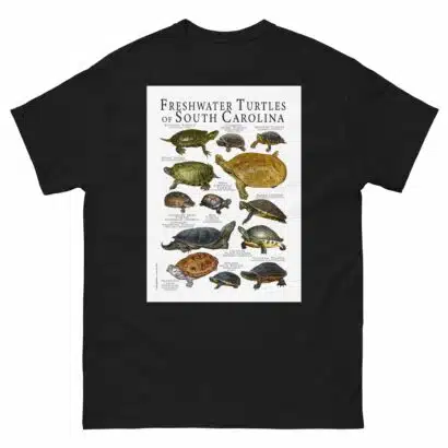 Freshwater Turtles of South Carolina - Men's classic tee - Image 2