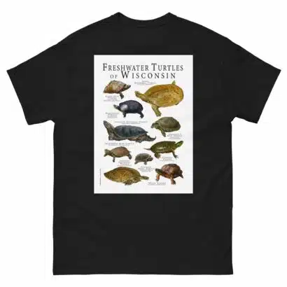 Freshwater Turtles of Wisconsin - Men's classic tee - Image 2
