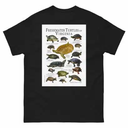 Freshwater Turtles of Virginia - Men's classic tee - Image 2