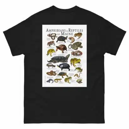 Amphibians & Reptiles of Maine - Men's classic tee - Image 2