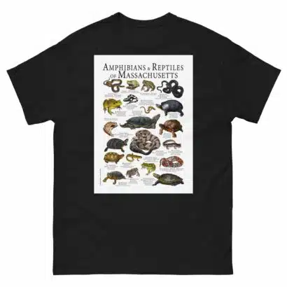Amphibians & Reptiles of Massachusetts - Men's classic tee - Image 2