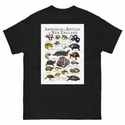 Amphibians & Reptiles of New England - Men's classic tee - Image 2