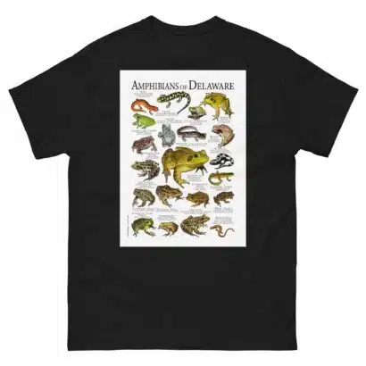 Amphibians of Delaware - Men's classic tee - Image 2