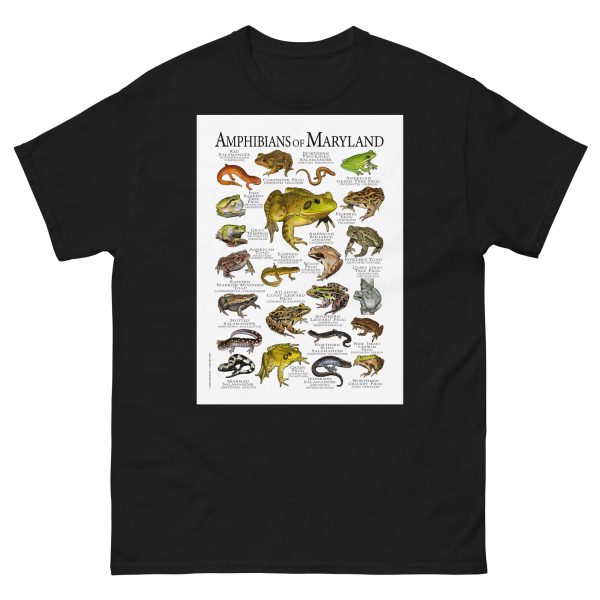 Amphibians of Maryland - Men's classic tee - Image 2