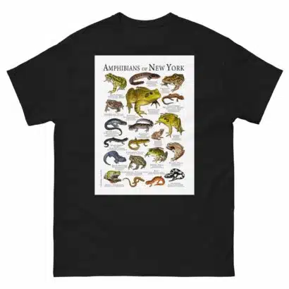 Amphibians of New York - Men's classic tee - Image 2