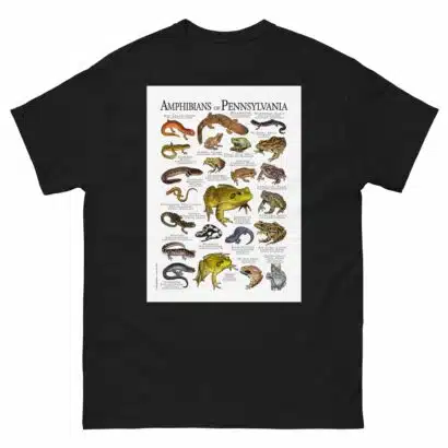 Amphibians of Pennsylvania - Men's classic tee - Image 2