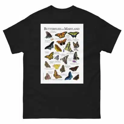 Butterflies of Maryland - Men's classic tee - Image 2