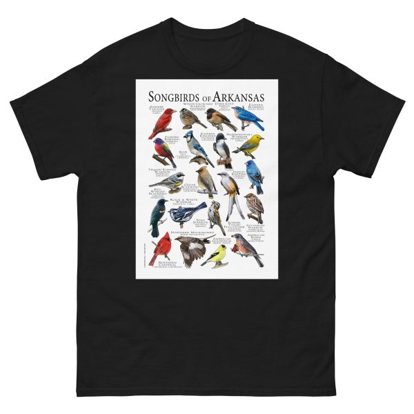Songbirds of Arkansas Men's classic tee - Image 2