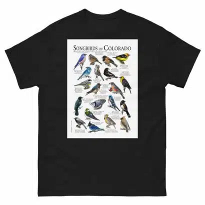 Songbirds of Colorado - Men's classic tee - Image 2