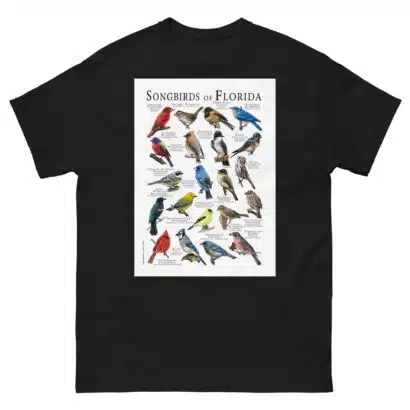Songbirds of Florida - Men's classic tee - Image 2