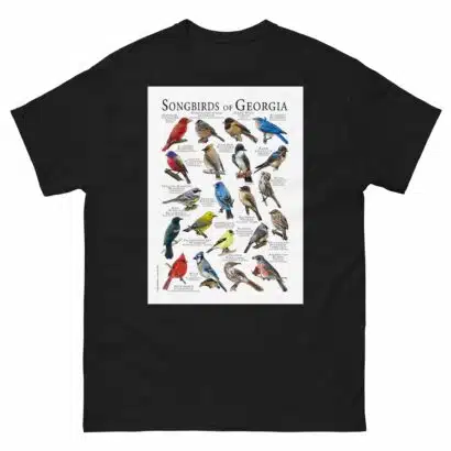 Songbirds of Georgia - Men's classic tee - Image 2