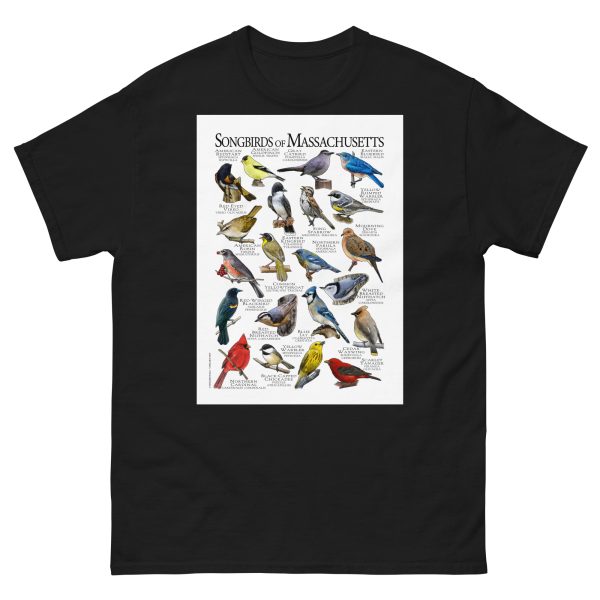 Songbirds of Massachusetts - Men's classic tee - Image 2