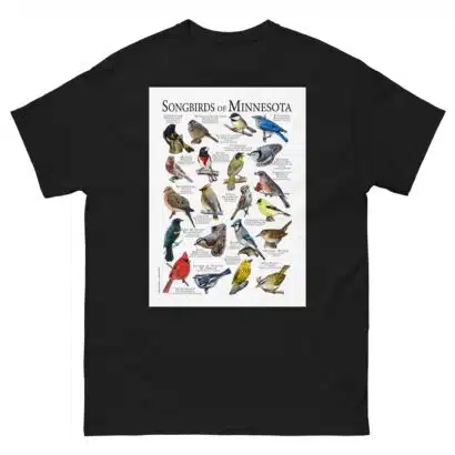 Songbirds of Minnesota - Men's classic tee - Image 2