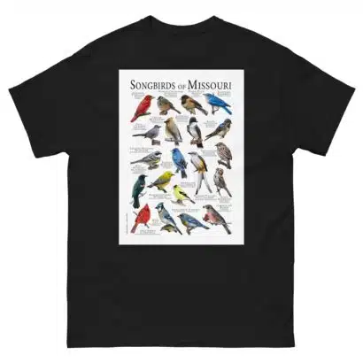 Songbirds of Missouri - Men's classic tee - Image 2