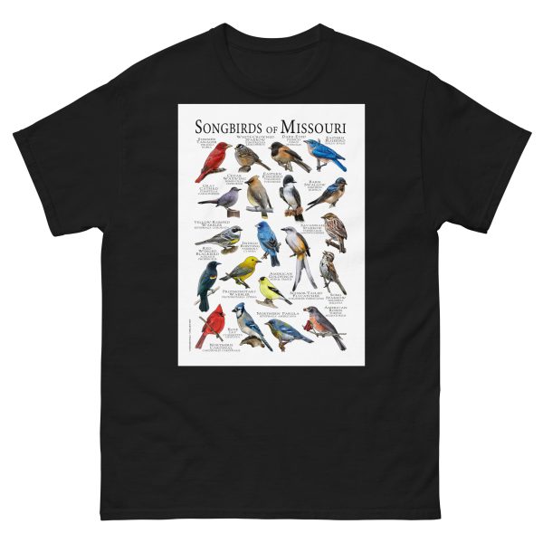 Songbirds of Missouri - Men's classic tee - Image 2