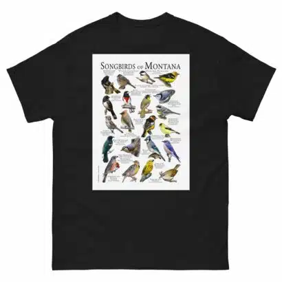Songbirds of Montana - Men's classic tee - Image 2