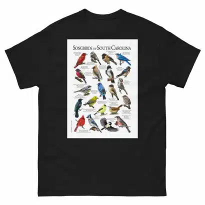 Songbirds of South Carolina - Men's classic tee - Image 2