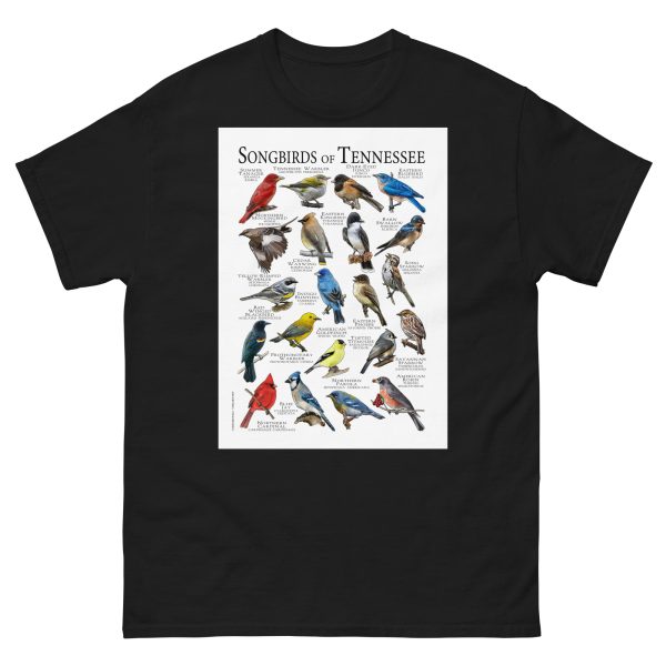 Songbirds of Tennessee - Men's classic tee - Image 2