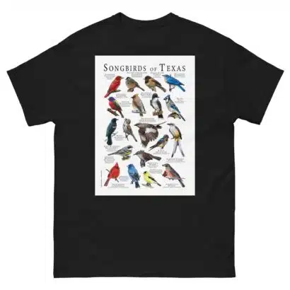 Songbirds of Texas - Men's classic tee - Image 2